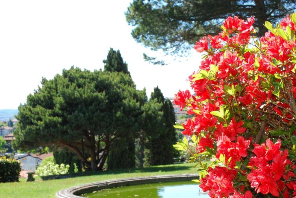 Villa Rossini Tavernerio Bagian luar foto